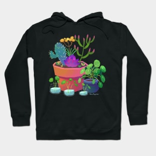 Succulents in pots Hoodie